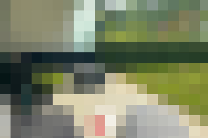 Image 13