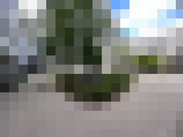 Image 20