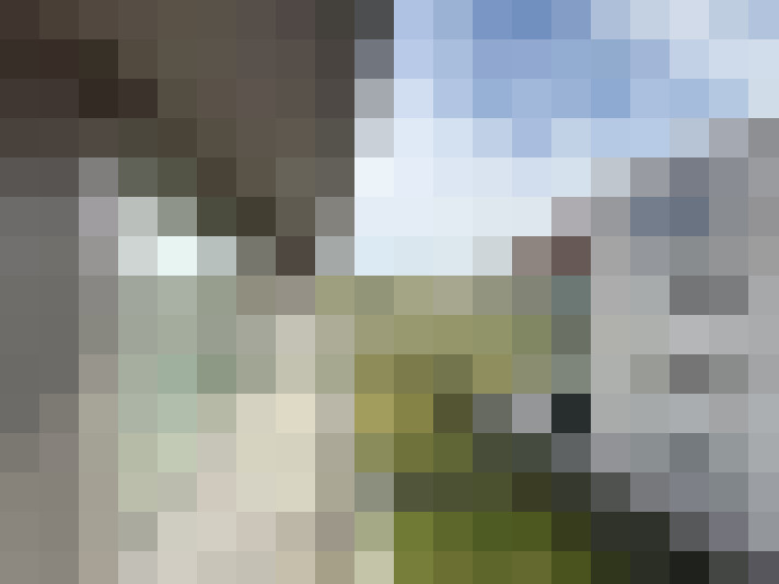 Image 14