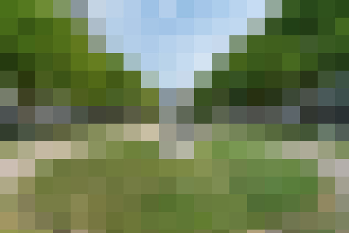 Image 14