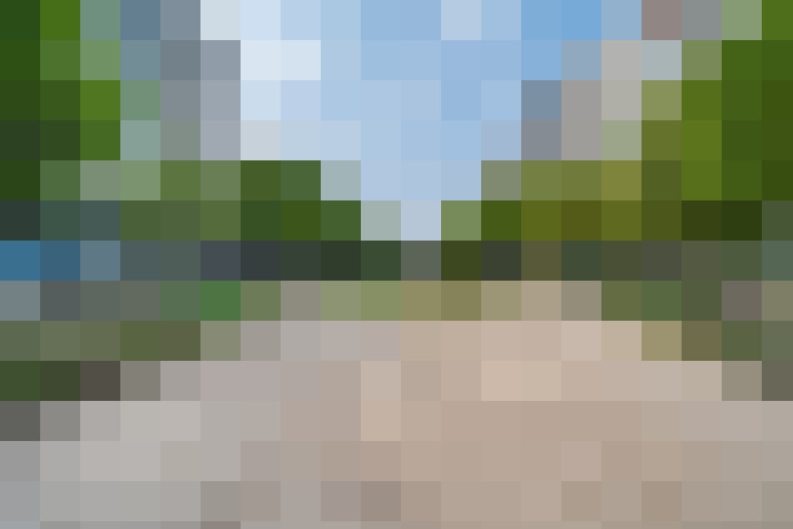 Image 13