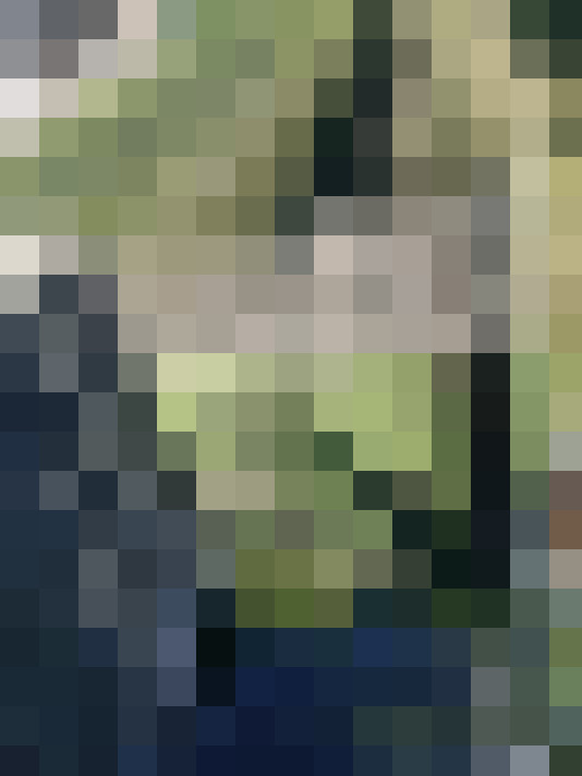 Image 23
