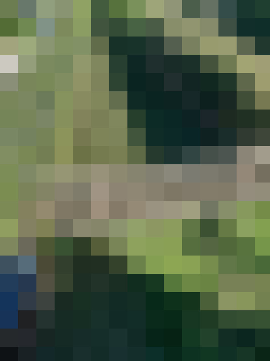 Image 22