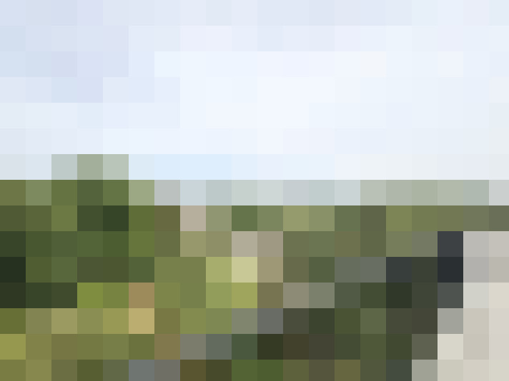 Image 13
