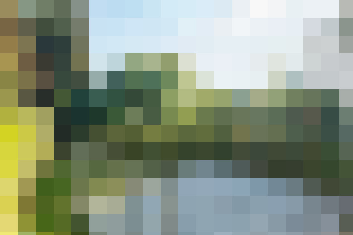 Image 23