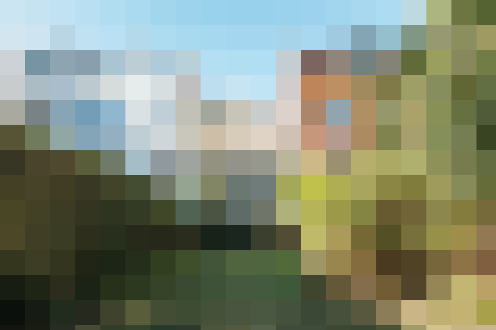 Image 26