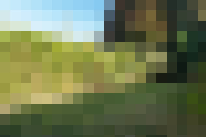 Image 24