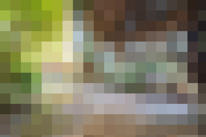 Image 25