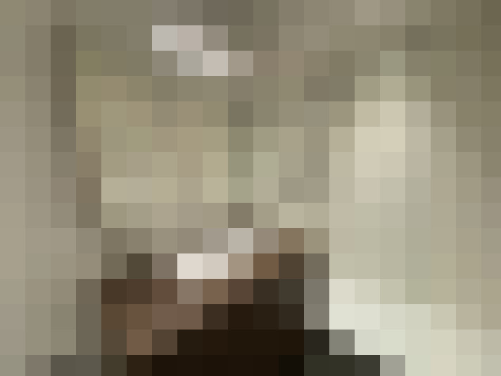 Image 13