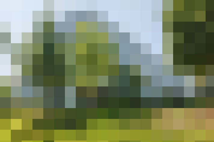 Image 35