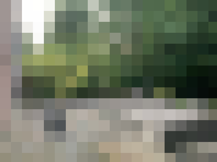 Image 20