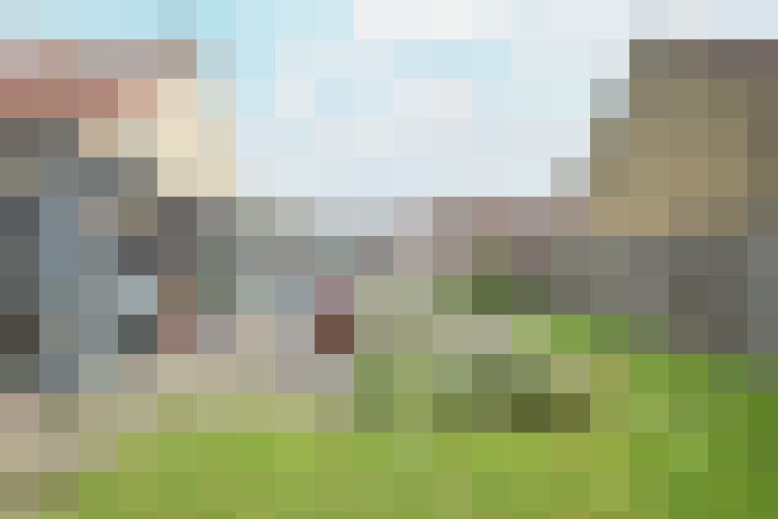 Image 15
