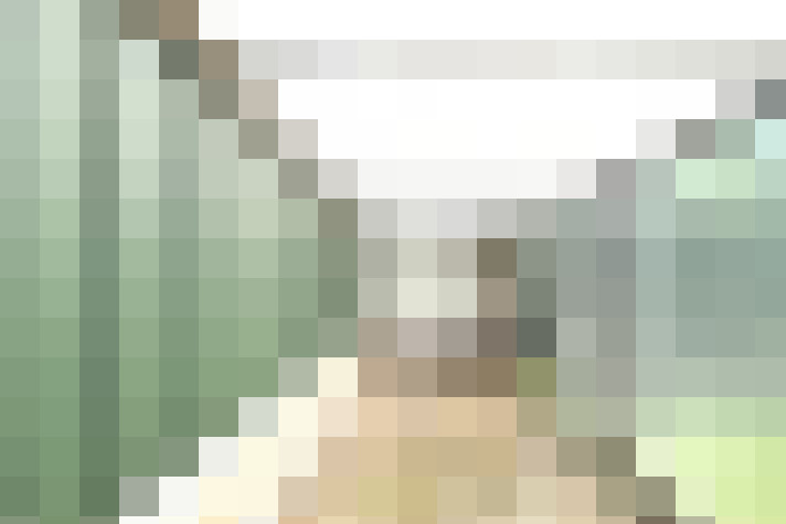 Image 20