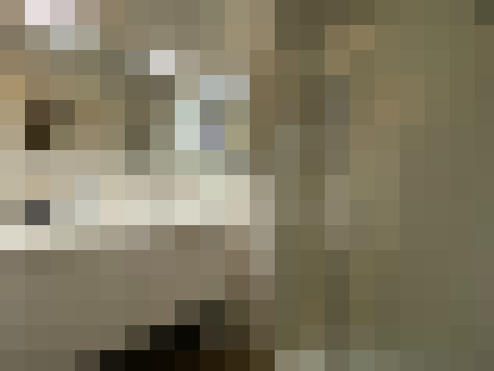 Image 18