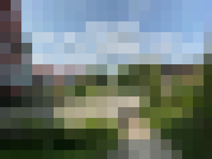 Image 23
