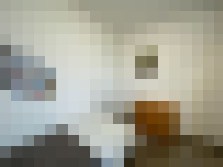 Image 17