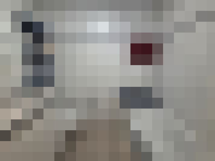 Image 22