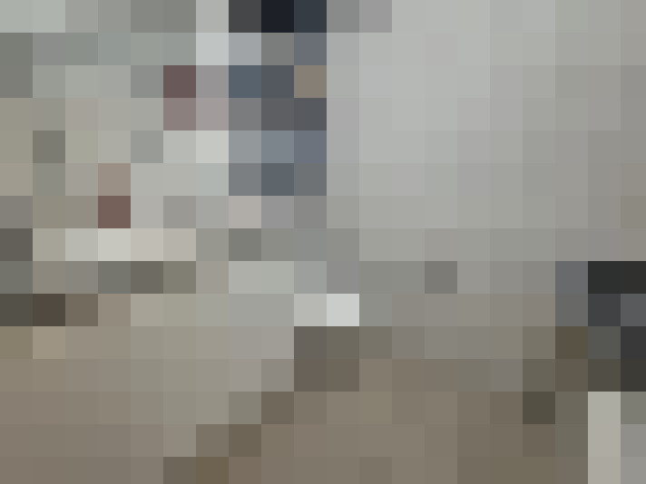 Image 23