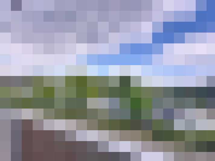 Image 17