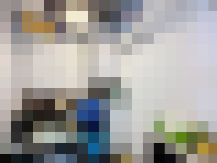 Image 15