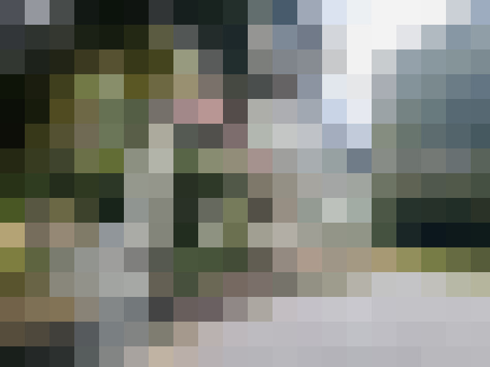 Image 22