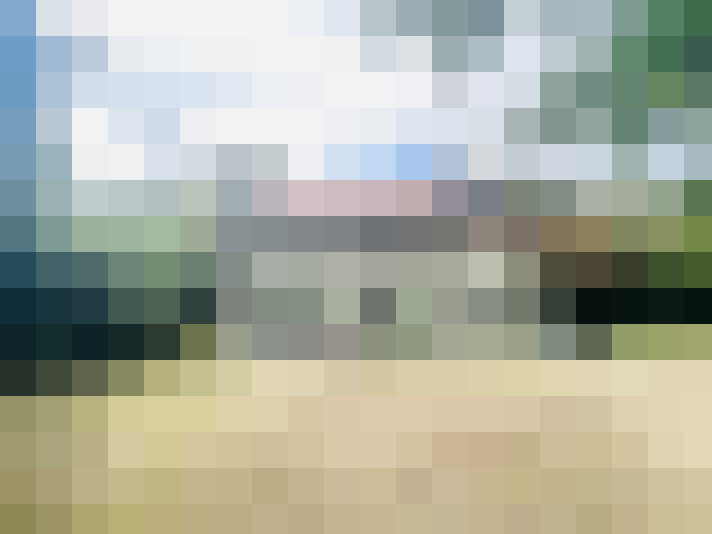 Image 21