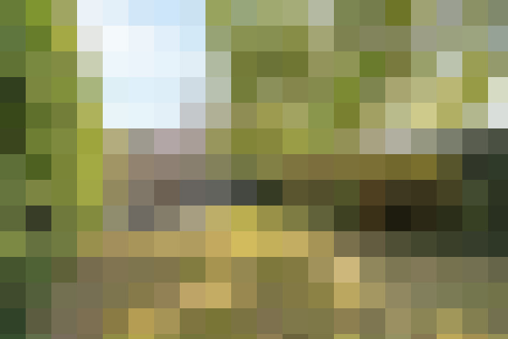Image 14