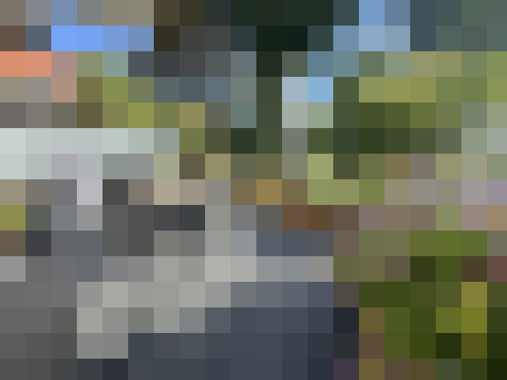 Image 15