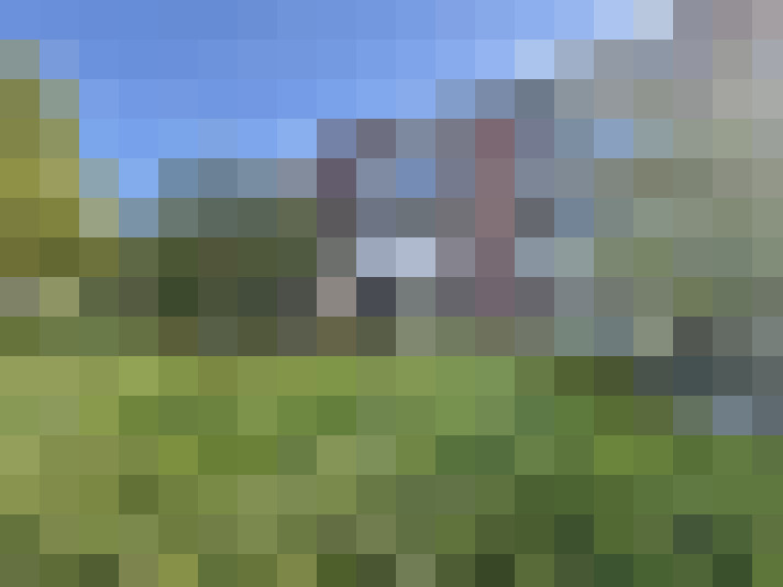 Image 24