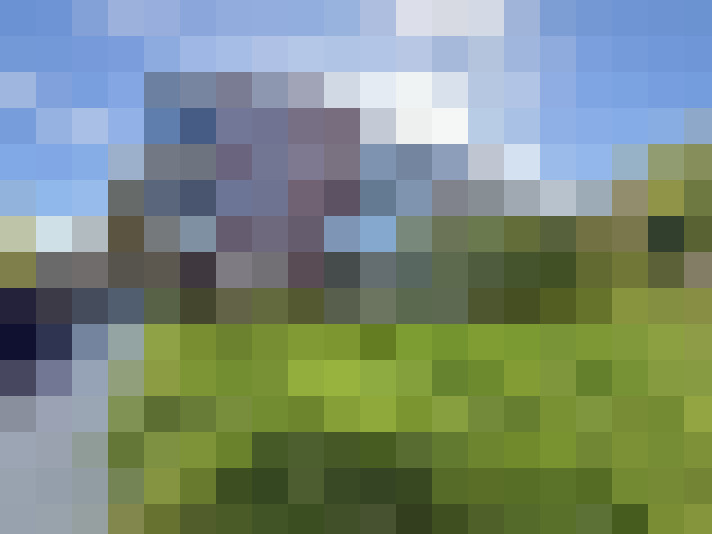 Image 23