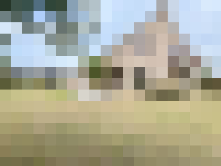 Image 13