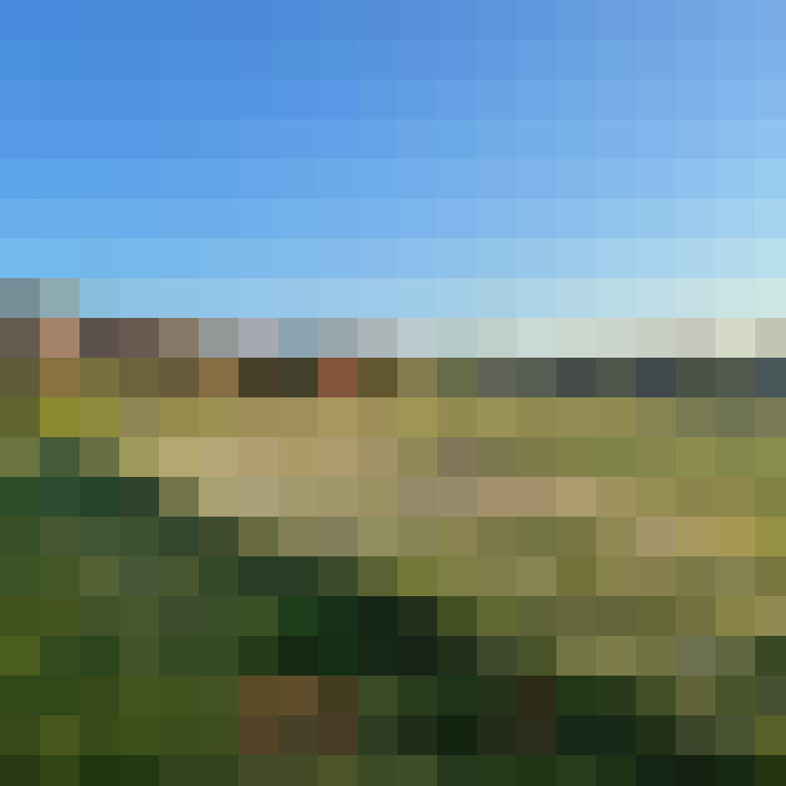 Image 23