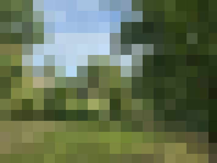 Image 18