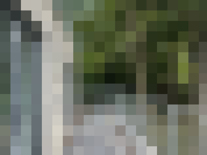 Image 14