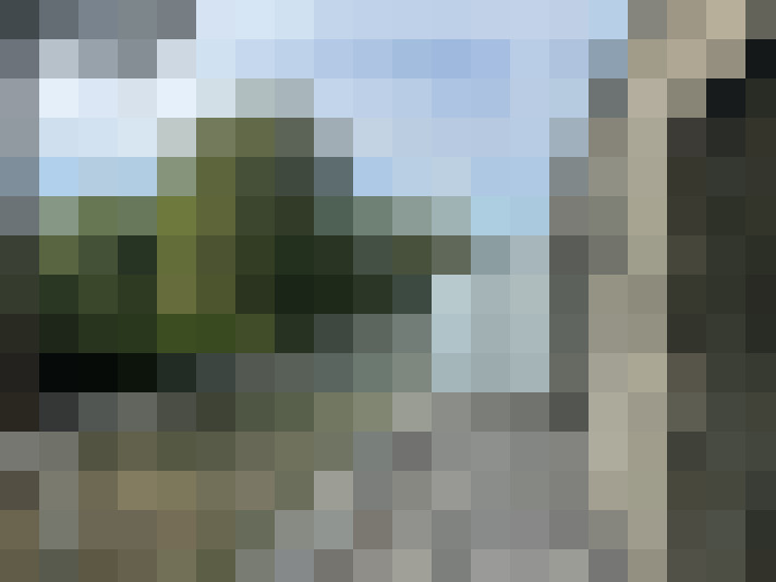 Image 13