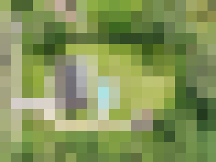 Image 65