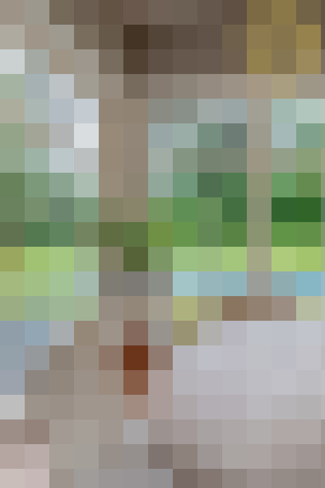 Image 32