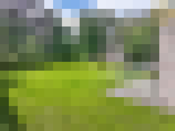 Image 17