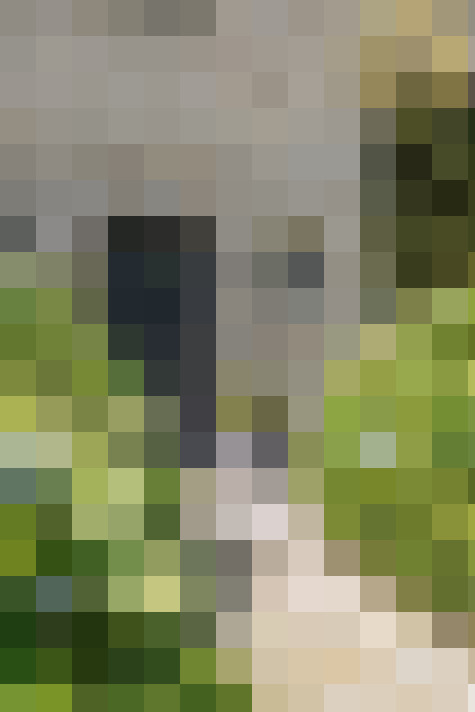 Image 22