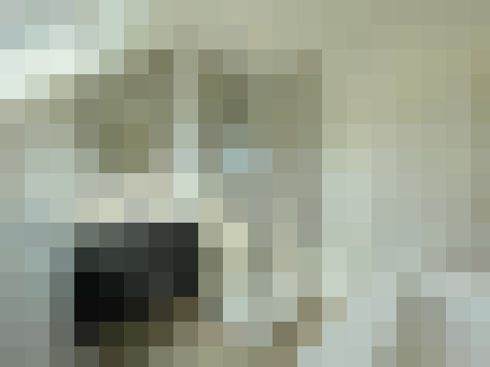 Image 13