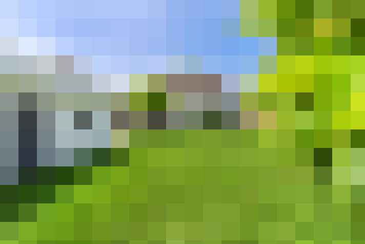 Image 13