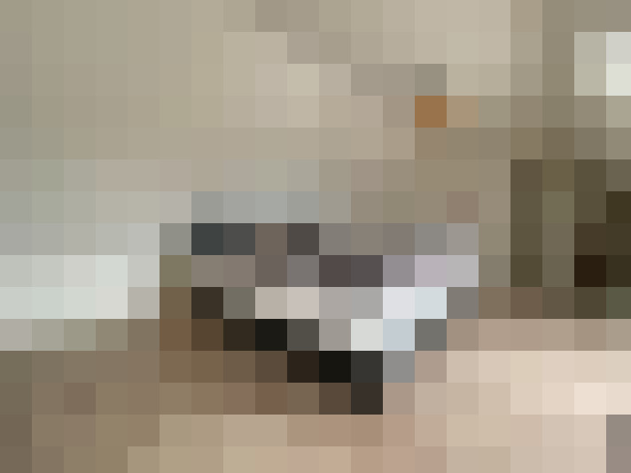 Image 13