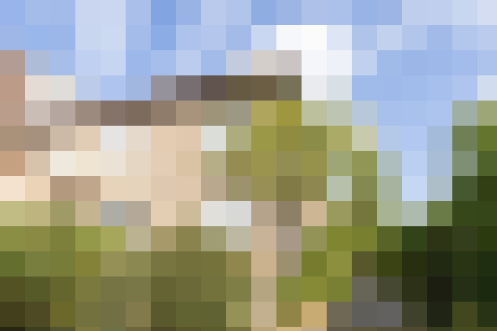Image 16