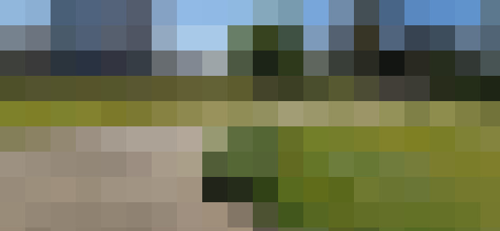 Image 39