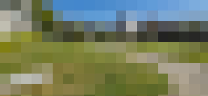 Image 40