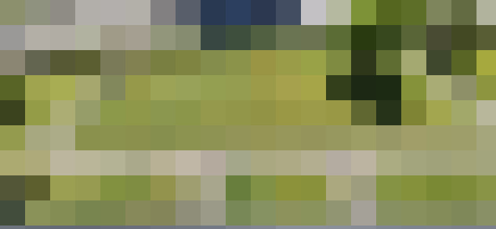 Image 43