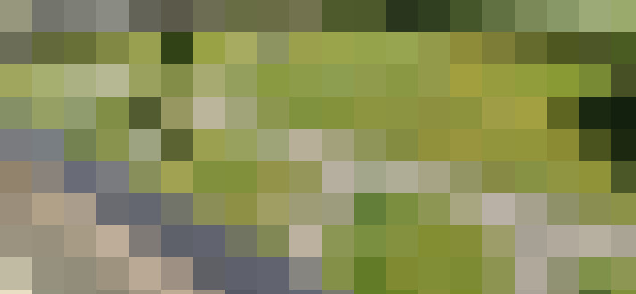 Image 42