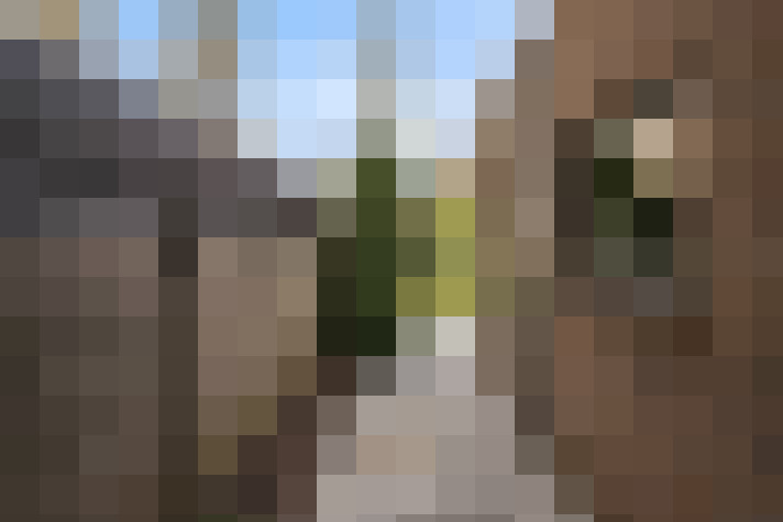 Image 29