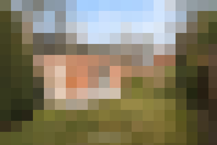 Image 33