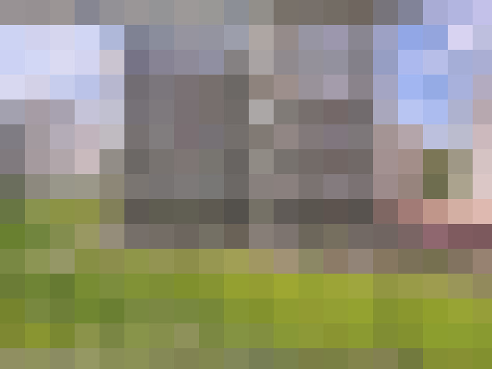 Image 16